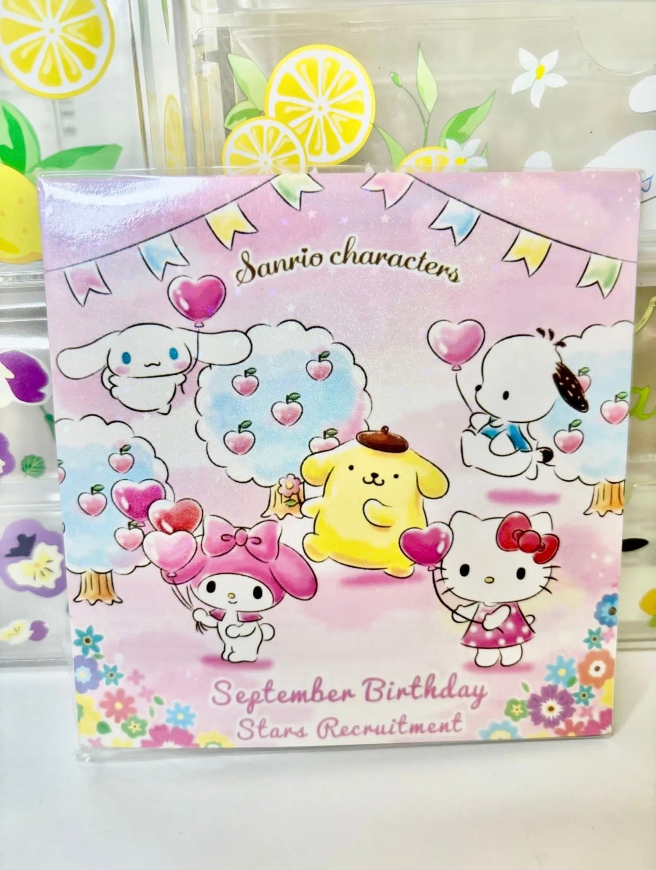 Sanrio Sticker Book
