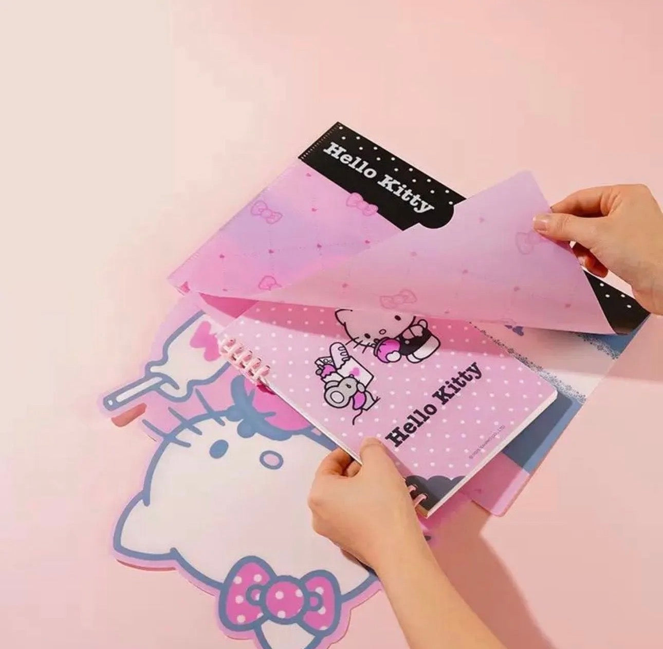 Hello Kitty File Folder (One Piece Random)