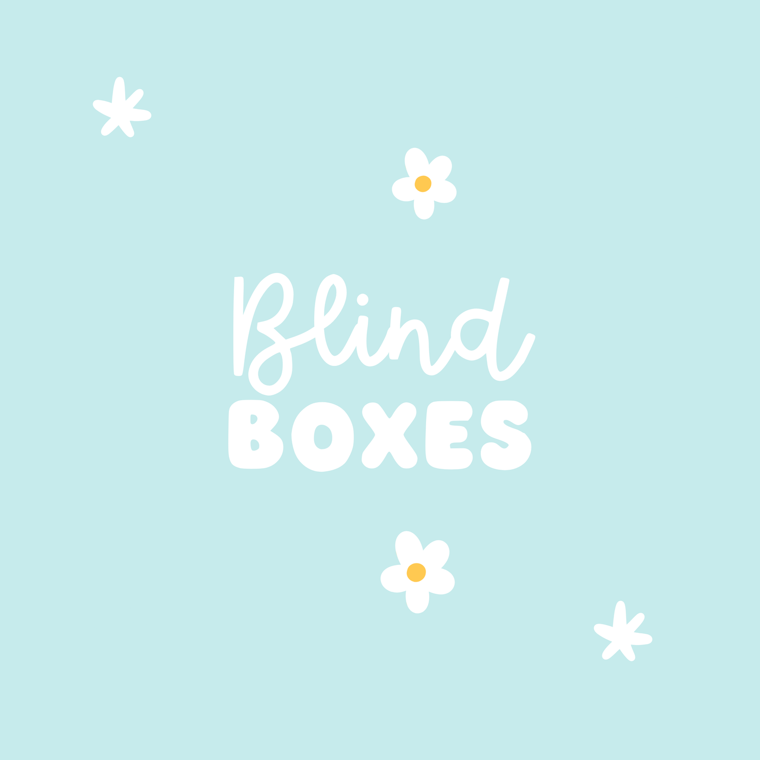 Blind Boxes