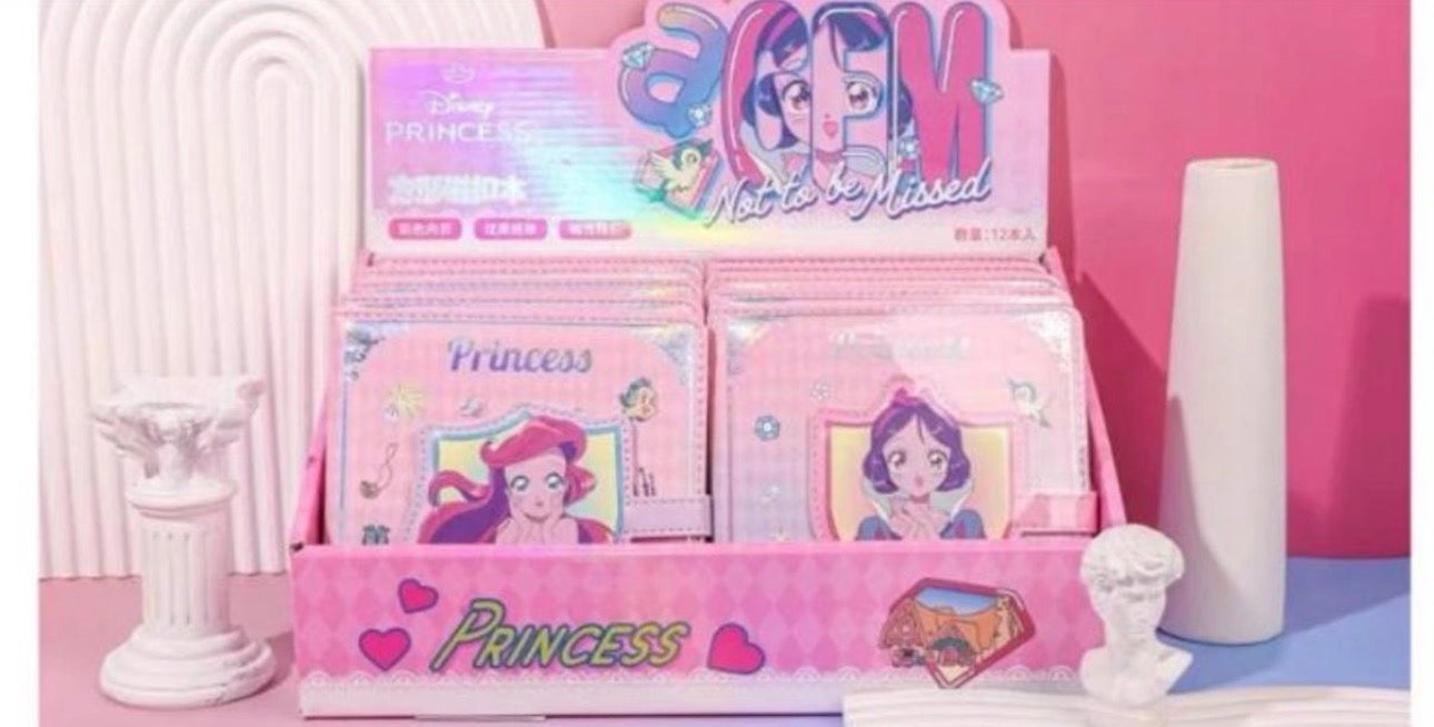 Magnetic Princess Notebook/Journal