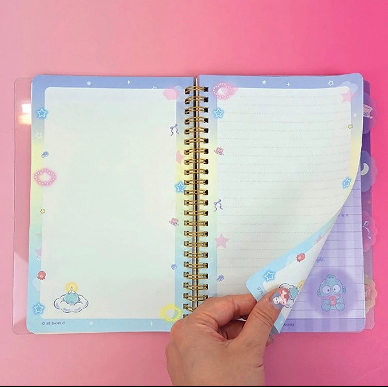 Hangyodon 4-Tab Index Notebook